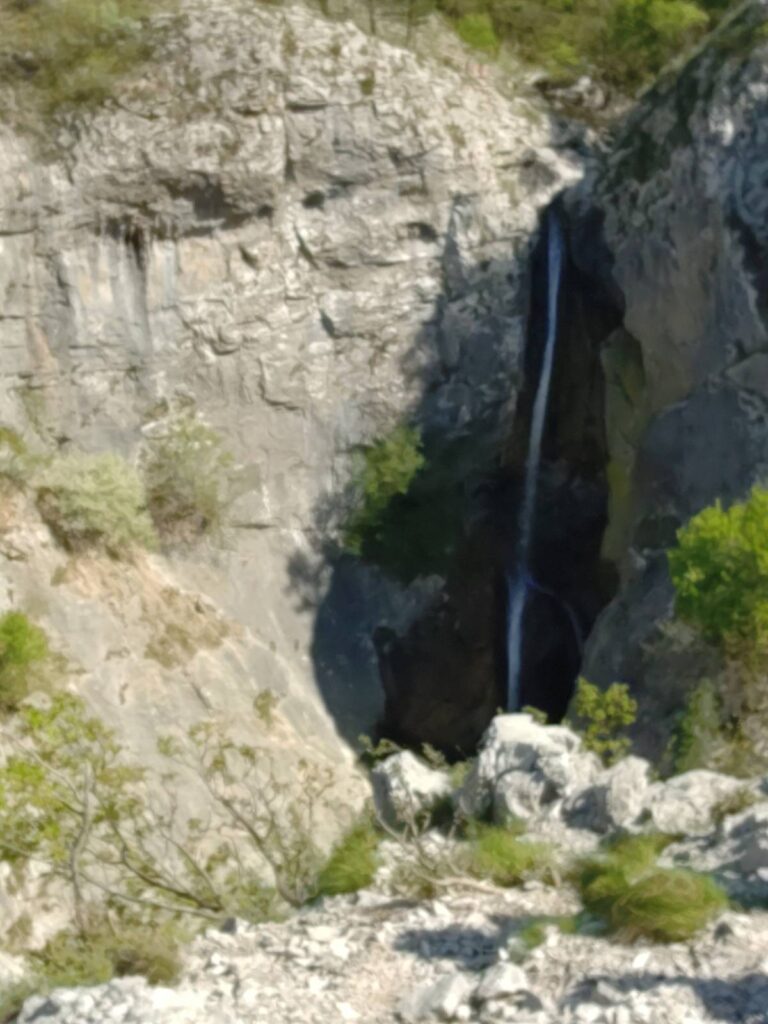 splav beka